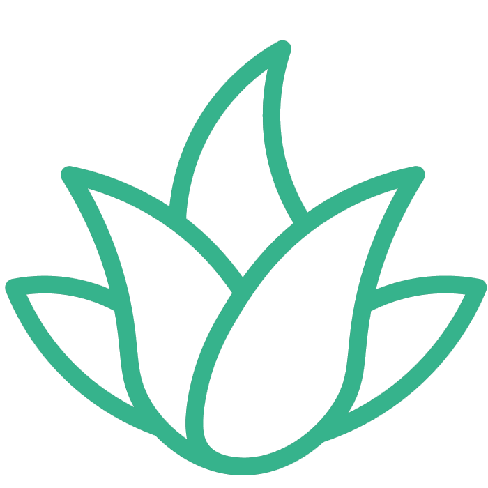 aloe